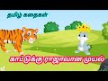 கார்ட்டூன் தமிழ் கதை காட்டுரசன் முயல