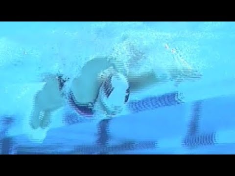 Butterfly in Profile with Jessicah Schipper