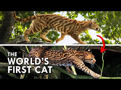 How Cats Evolved, Conquered, and then Disappeared Without a Trace