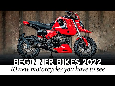Top 10 Beginner Bikes and Mini Motos for a Young Thrifty Rider in 2022