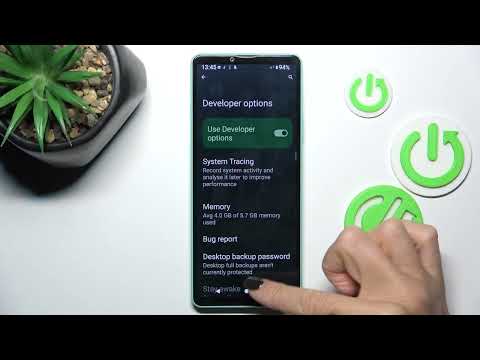 How to Enable Developer Options on Sony Xperia 1 VI?