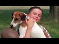 My Dog Skip Abigail Berry