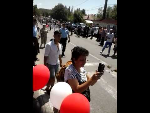 Sarbatoarea capsunului 2015-Bunesti Valcea(2)