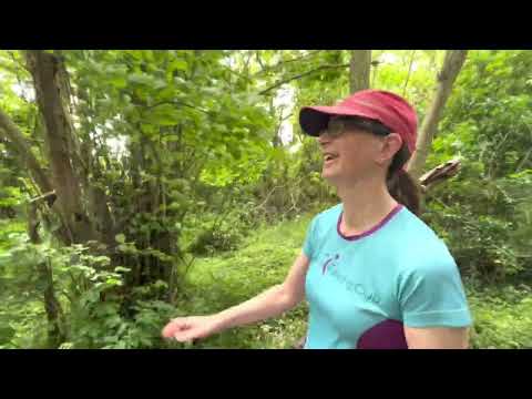 North Downs Way #2 - Run & Eat from Lenham Square, Kent (Long Play)