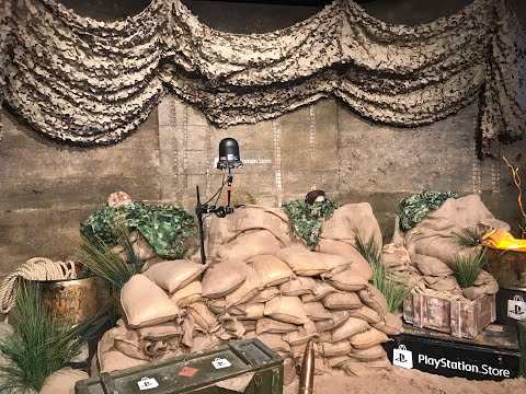 Playstation - twitch event Bearded Kitten