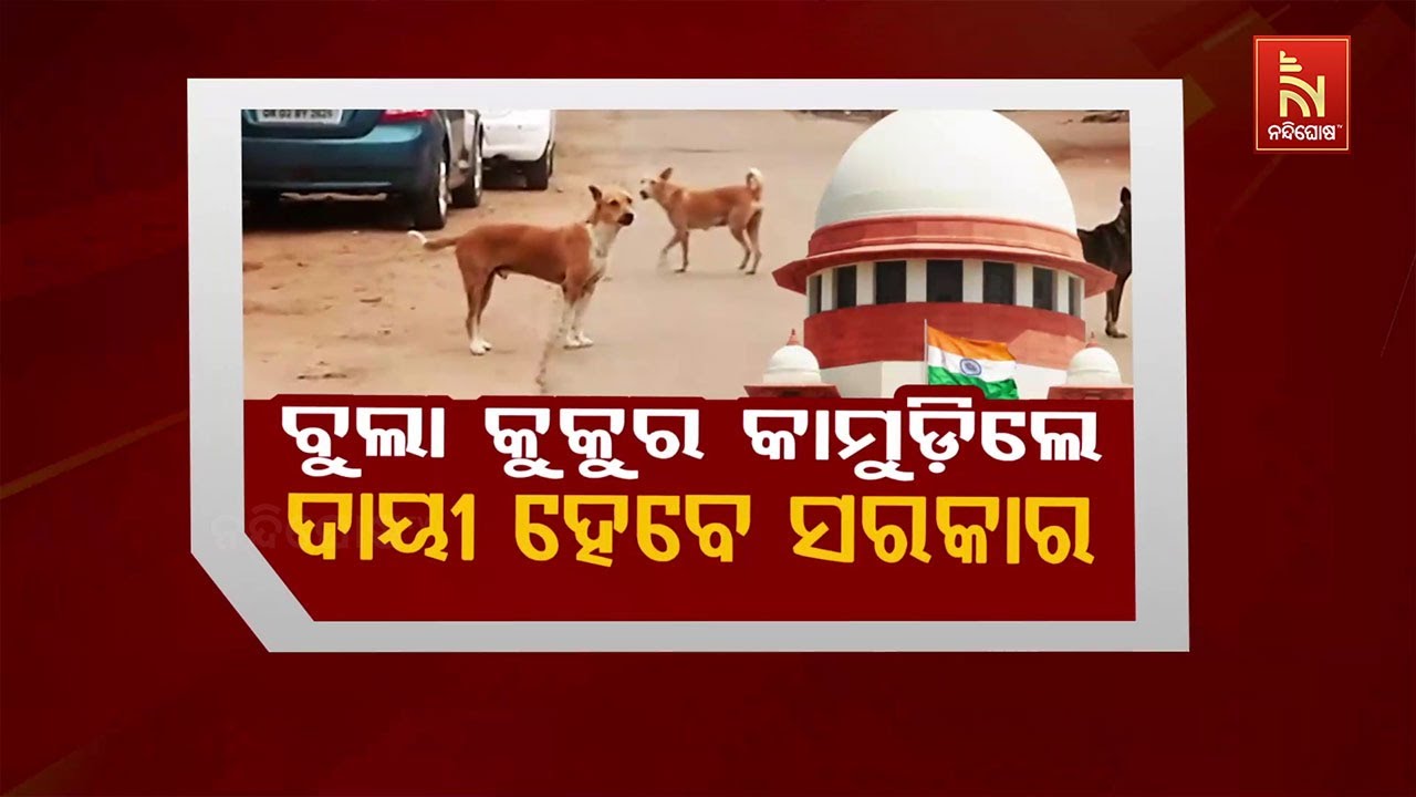 ବୁଲା କୁକୁର କାମୁଡିଲେ ଦାୟୀ ହେବେ ସରକାର