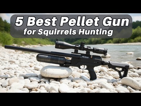 5 Best Pellet Gun for Squirrels Hunting