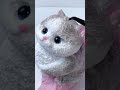 FUFUSQUISHY ASMR Gray Cat