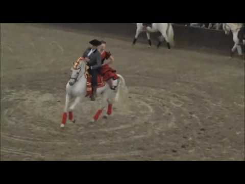 Galaabend des Pferdes 26.11.2016