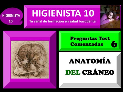 ANATOMÍA DEL CRÁNEO. PREGUNTAS TEST COMENTADAS 6.