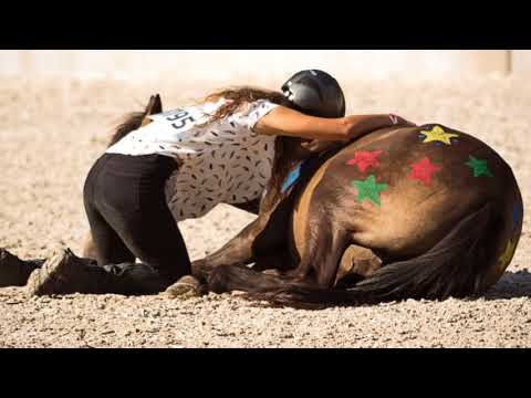 MUSTANG MAKEOVER 2018