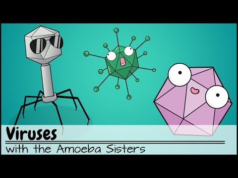 Viruses (Updated)