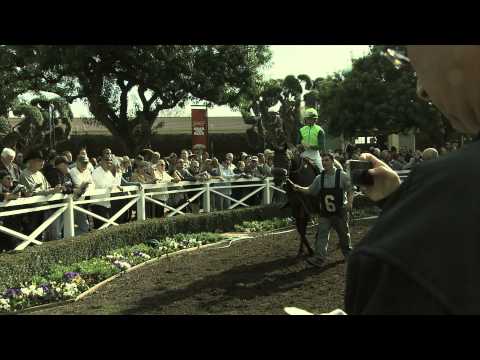 Tiz a Minister Feature (Snow Chief Stakes)