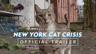 NEW YORK CAT CRISIS | Official Trailer