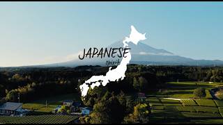 Lendan Terra Smooth uhlazující šampon pro krepaté vlasy 300 ml