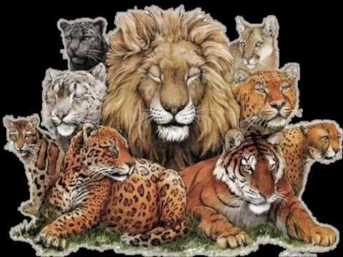 Long Live (Feat. Paula Fernandes) - Taylor Swift