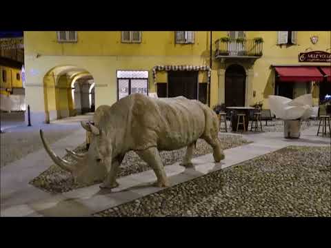 CHERASCO (CN, Langhe) la città intera night and day