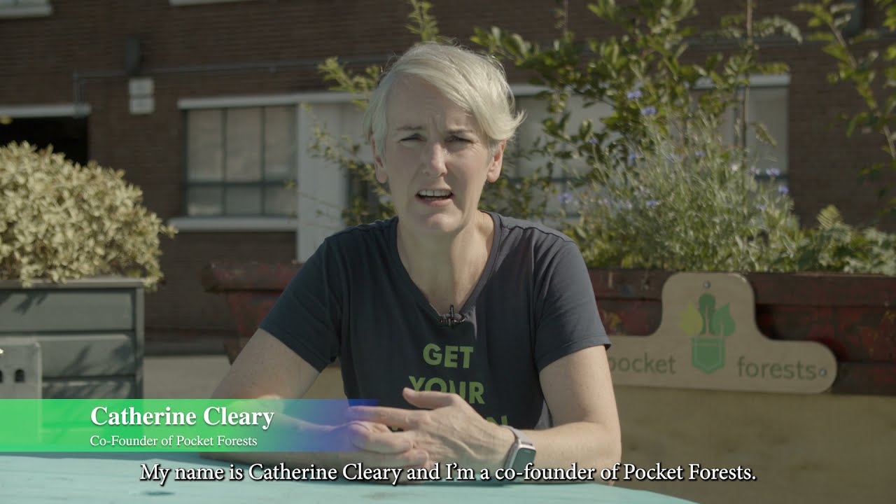 Pocket Forests - Dublin City Social Enterprise Awards 2021