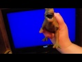 T Rex S VHS Opening Bootleg Copy Of The Wiggles Top Of The Tots