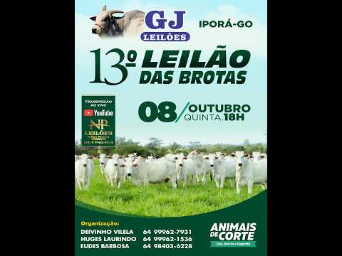 GJ LEILÕES - IPORÁ GOIAS 08/10/2026