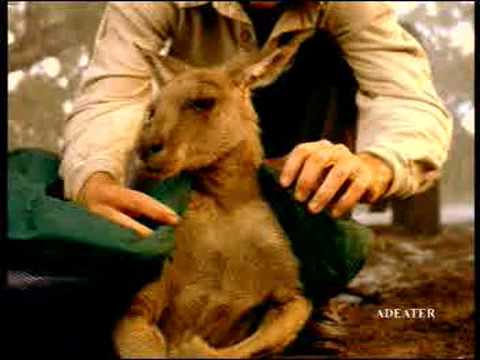 Goretex - Sweden - 1995