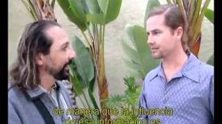 Nassim Haramein - La curación a través de la sanación del pasado. subt español.