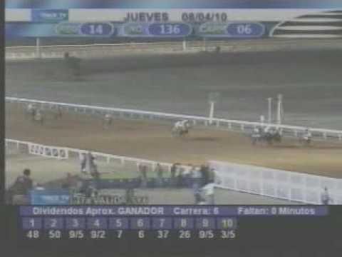 Resumen jueves 8 de abril 2010 - Santa Rita