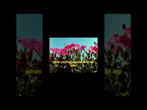 sour flowers lyric video - Bantug