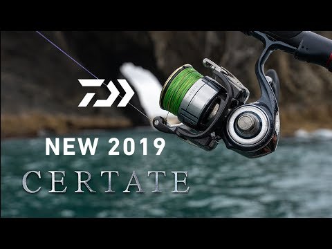 Daiwa Certate 19 LT 2500S-XH