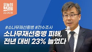 [#브리핑]소나무재선충병 피해, 전년 대비 23% 늘었다