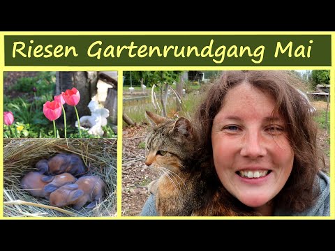 Riesen Selbstversorger Garten  Rundgang Mai 🌷🐰🐣│ Kaninchen Hühner Garten