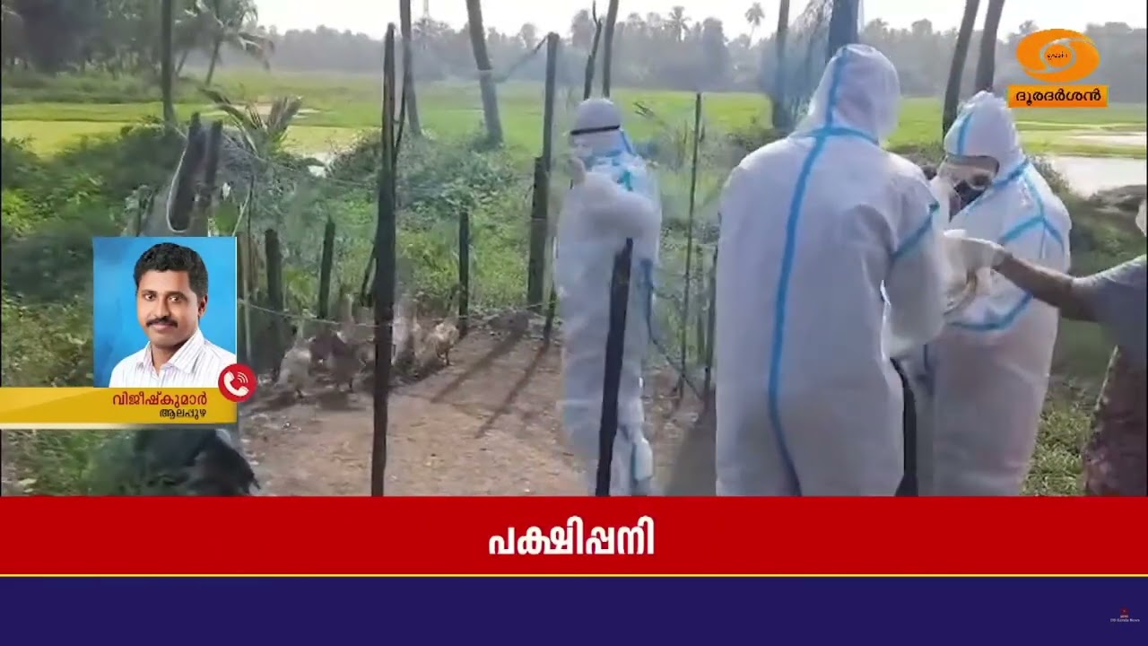 പക്ഷിപ്പനി - ആലപ്പുഴയിൽ ചിക്കൻ നിരോധനം; ഹോട്ടൽ ഉടമകള