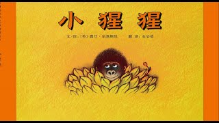【小猩猩】有声绘本｜中文童书
