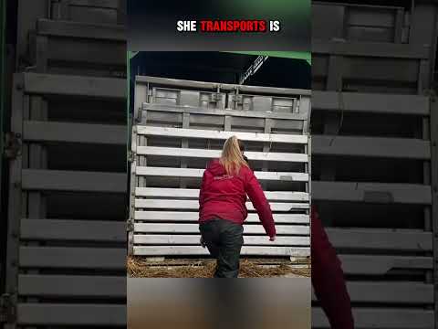 Everyone Feared Her Cargo… But It Was Empty #shorts #short #youtubeshorts