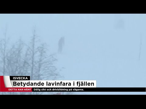 Naturvårdsverket: Stort intresse för offpist - Nyheterna (TV4)