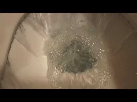 NEX P19 - Single Mind *°çé§