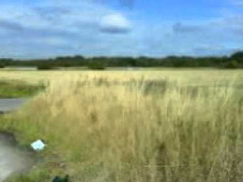 Acaster Malbris History 1/7