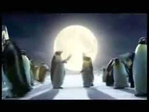 Coca Cola Christmas Commercial - Polar Bears