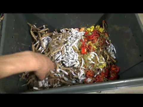 indendørs kompost 1