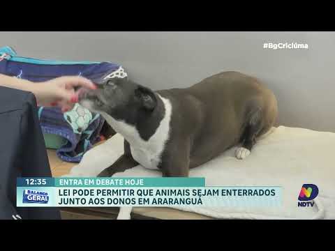 Araranguá avalia lei sobre enterro de pets
