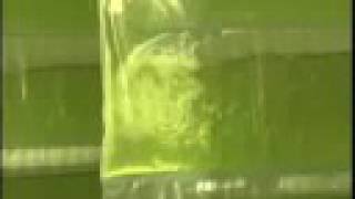 #5 Vertigro - Gas, Diesel, Biofuel production from algae