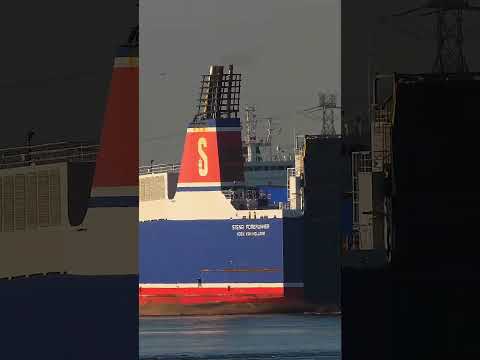 #Shorts STENA FORERUNNER - IMO 9227259 | Ship Spotting
