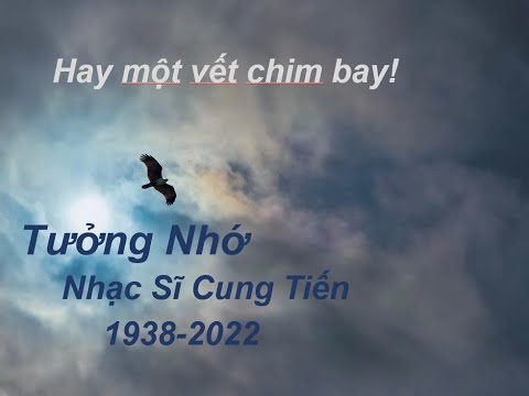 Vết chim bay Sheet - Bích Liên