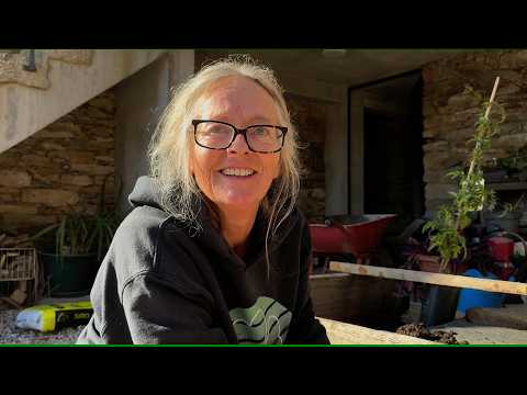 Part 6 - Courtyard Garden Transformation