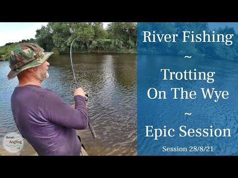 Fishing The River Wye - Trotting The Stick Float - Fantastic Session - 28/8/21 (Video 269)