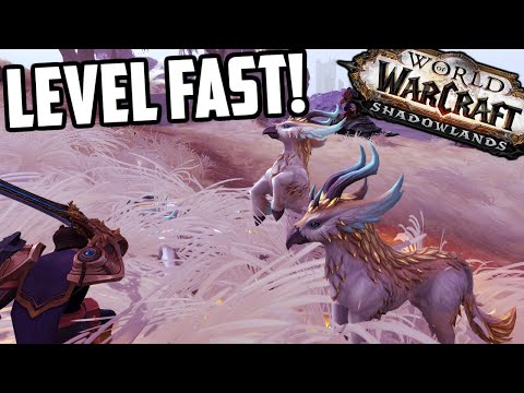 The Easiest & Fastest Way to Level Alts in Shadowlands