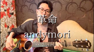 革命 / andymori【フル演奏】アンディモリ 弾き語り cover