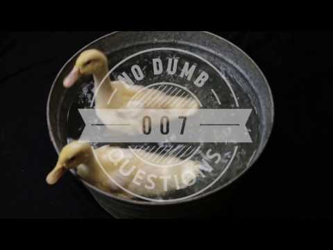 No Dumb Questions 007 - Body Slamming People on Airplanes (James Bond and the Metal Tube of Farts)