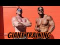 Giant Training Ike and Aaron