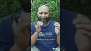 Download lagu STORY WA PAK NDUL 30 DETIK  ||jangan lupa like komen & subscribe mp3 Download lagu STORY WA PAK NDUL 30 DETIK  ||jangan lupa like komen & subscribe mp3